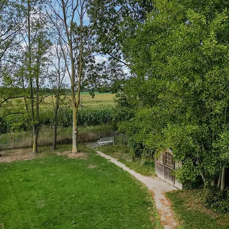 6 - Persoons Forest Pet & Family 197 Holiday home Ewijk