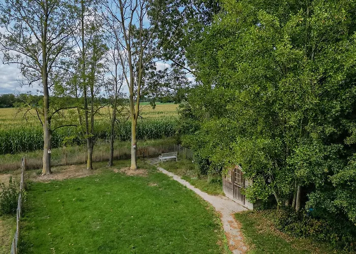 6 - Persoons Forest Pet & Family 197 Holiday home Ewijk